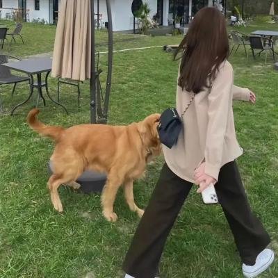心理追凶第三季